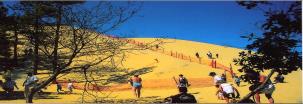 Dune du Pyla