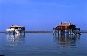 Les cabanes tchanques du Bassin d'Arcachon